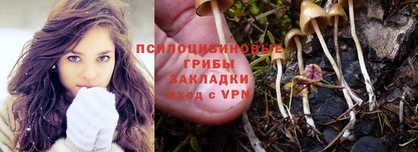 ешки Лабытнанги