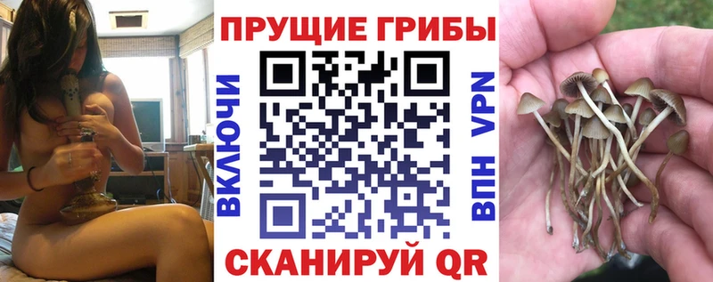 Псилоцибиновые грибы прущие грибы  kraken сайт  Ноябрьск 