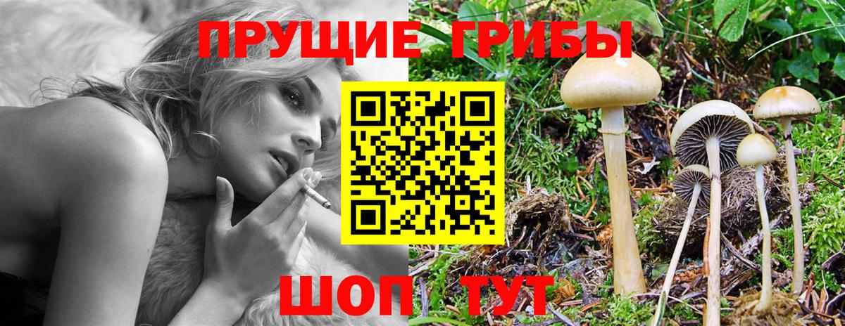 Ноябрьск  Галлюциногенные грибы Psilocybe  Псилоцибиновые грибы мицелий  продажа наркотиков  Вход с VPN 